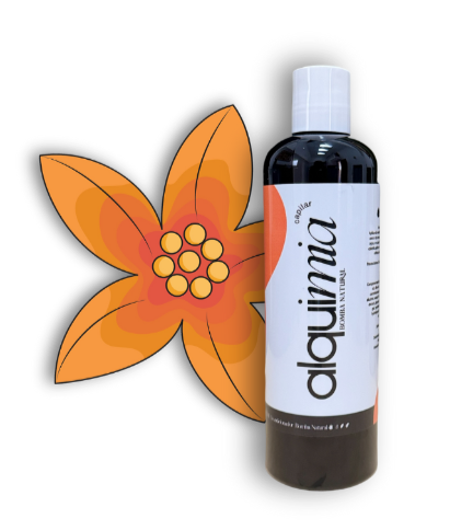 4 ALQUIMIA ACONDICIONADOR BOMBA