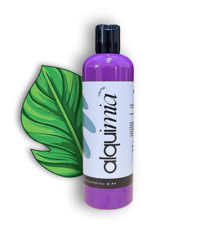 2 ALQUIMIA SHAMPOO BOMBA 500ML- Además de la prevención de la caida y la estimulación del crecimiento del cabello, hidrata en extremo cueros cabelludos resecos.